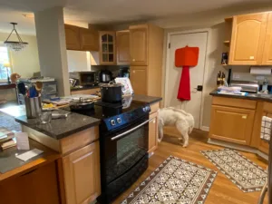 Denver Remodel 2