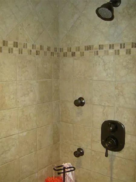 Silva Bathroom 4